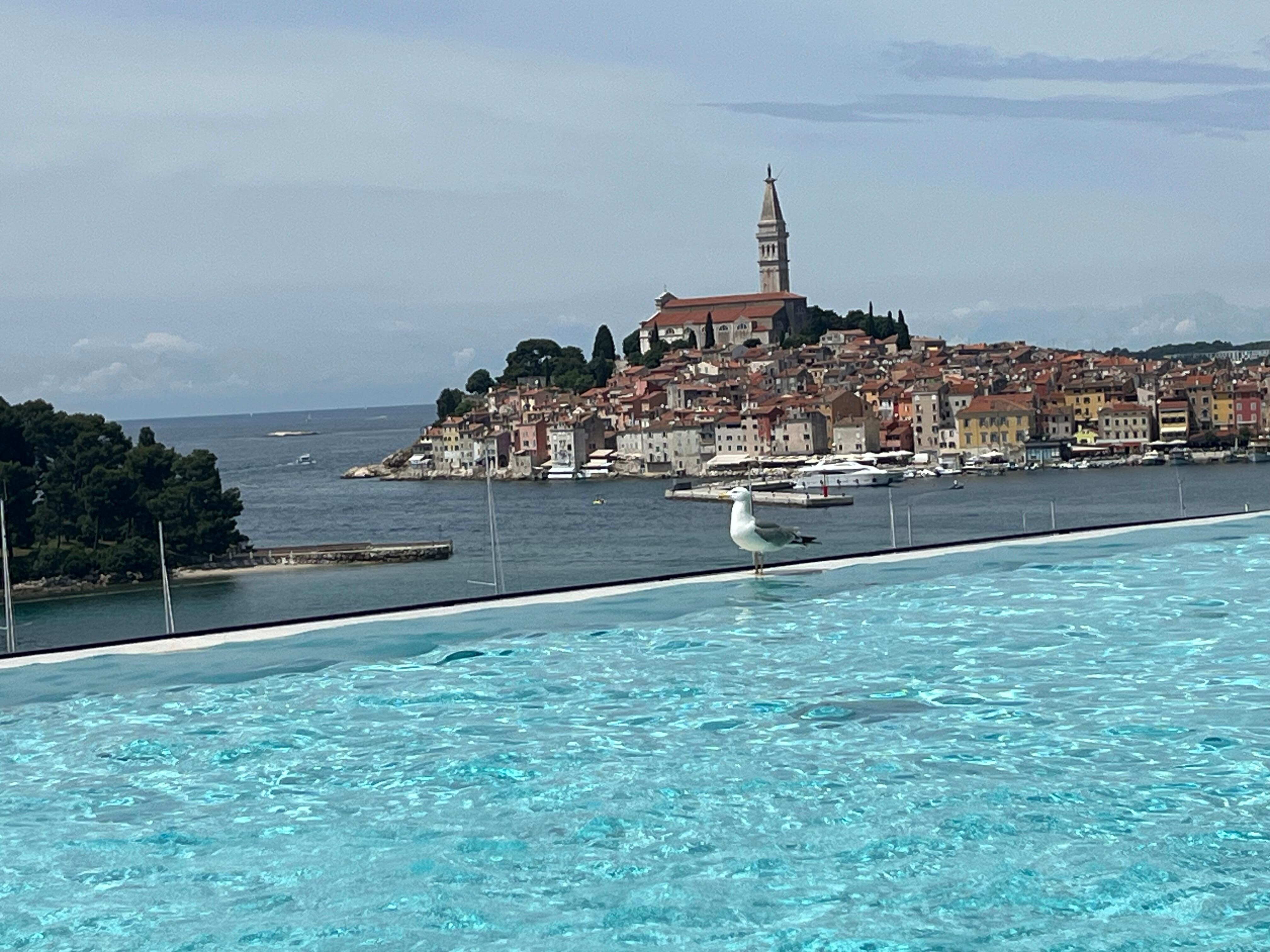 View from the Grand Hotel at the infinity pool. Hotel Adriatic can be seen directly across the water.