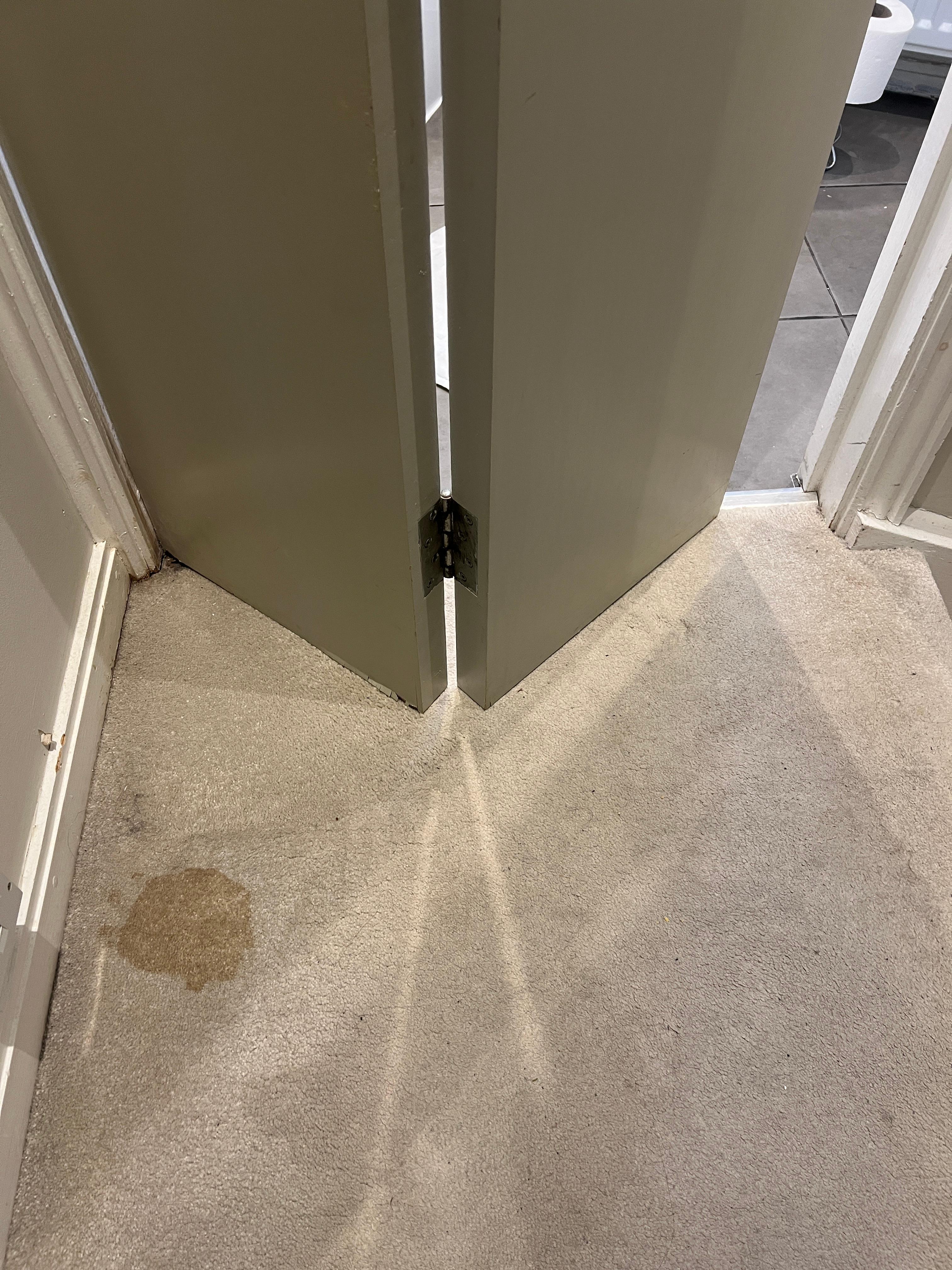 Stains outside bathroom with door unable to close