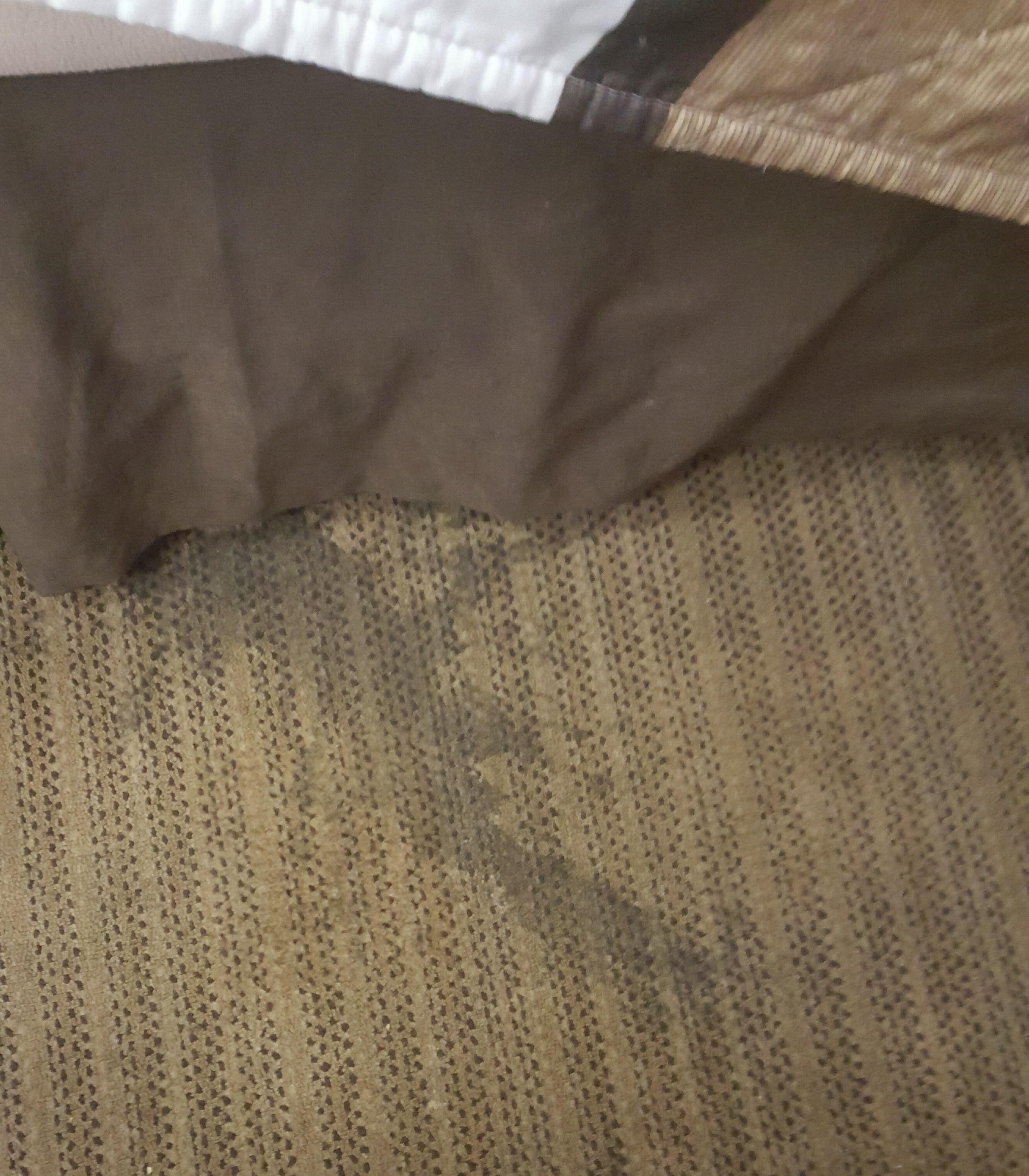 Stains on carpet