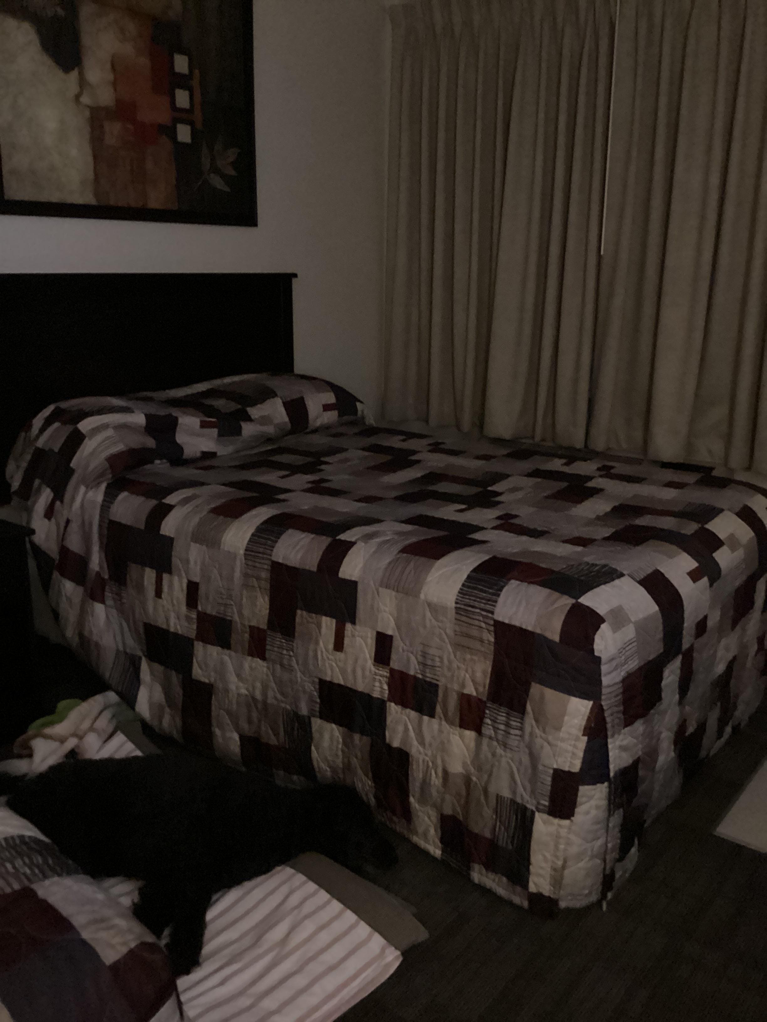 My dog sleeping on her own mattress on the floor between two beds. 