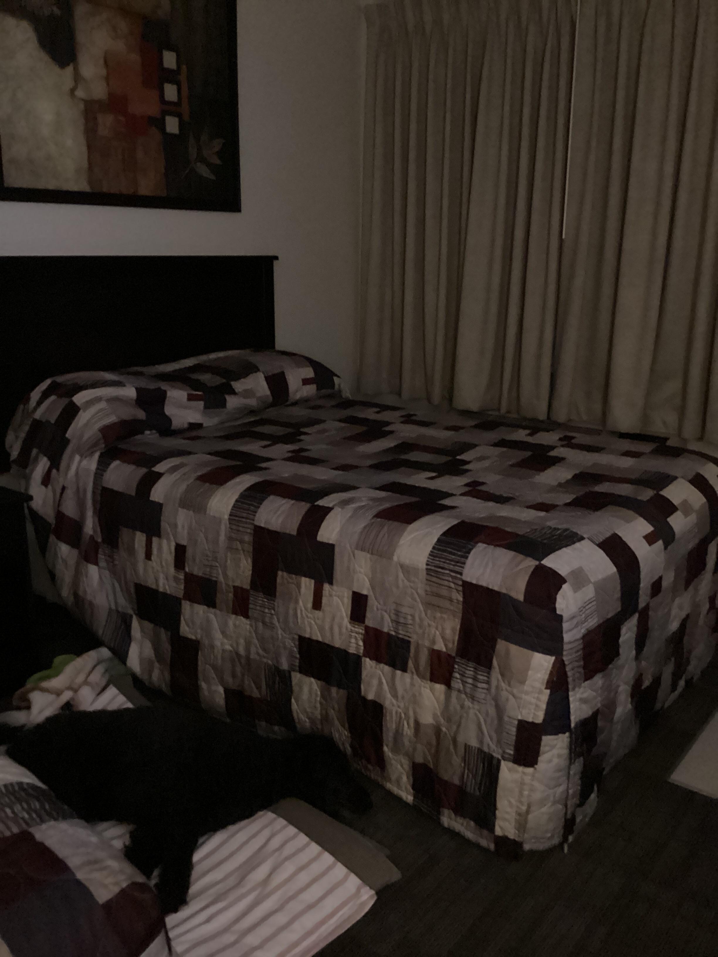 My dog sleeping on her own mattress on the floor between two beds. 