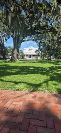 Looking out of the front yard across the park.