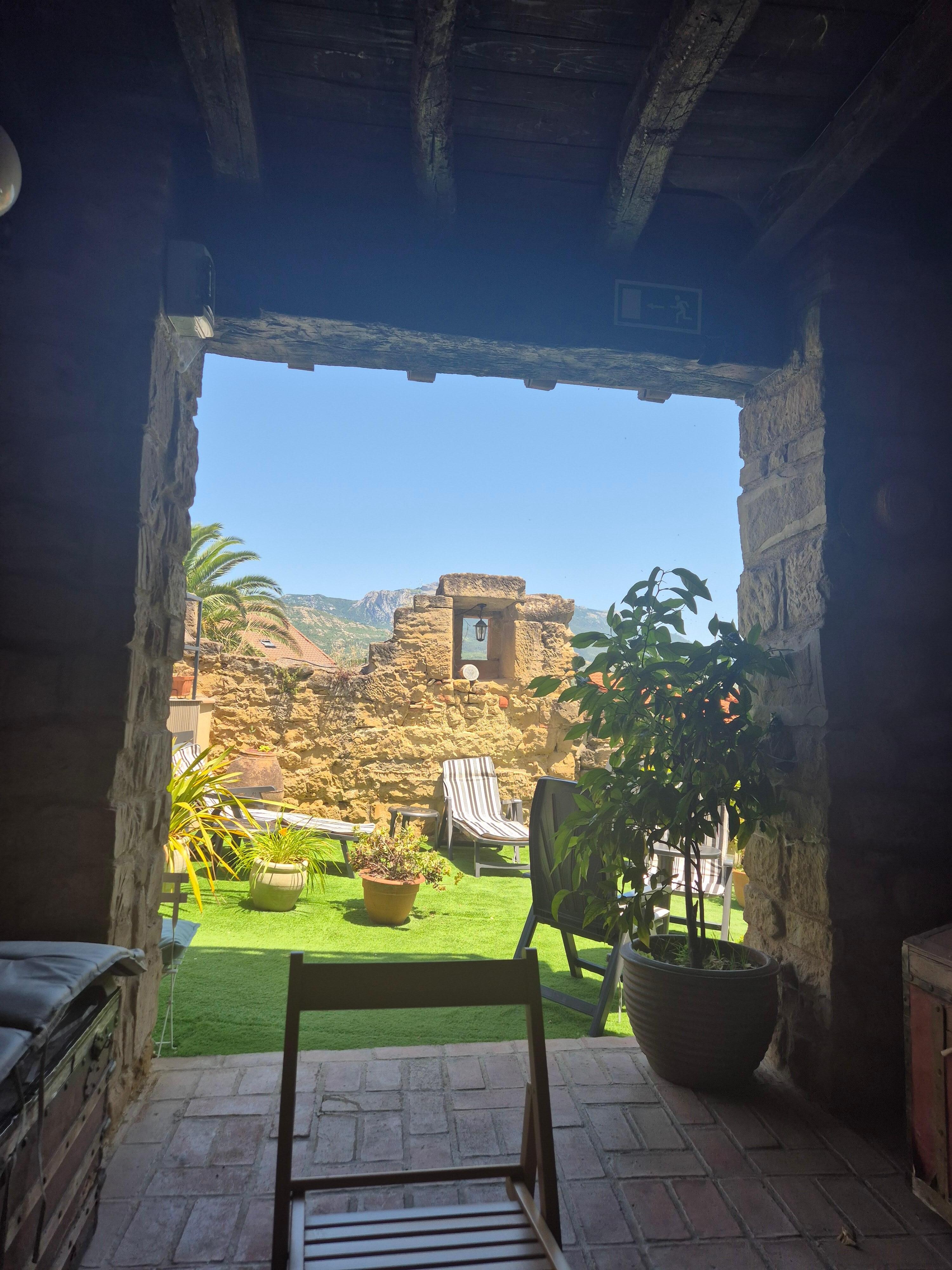 The garden