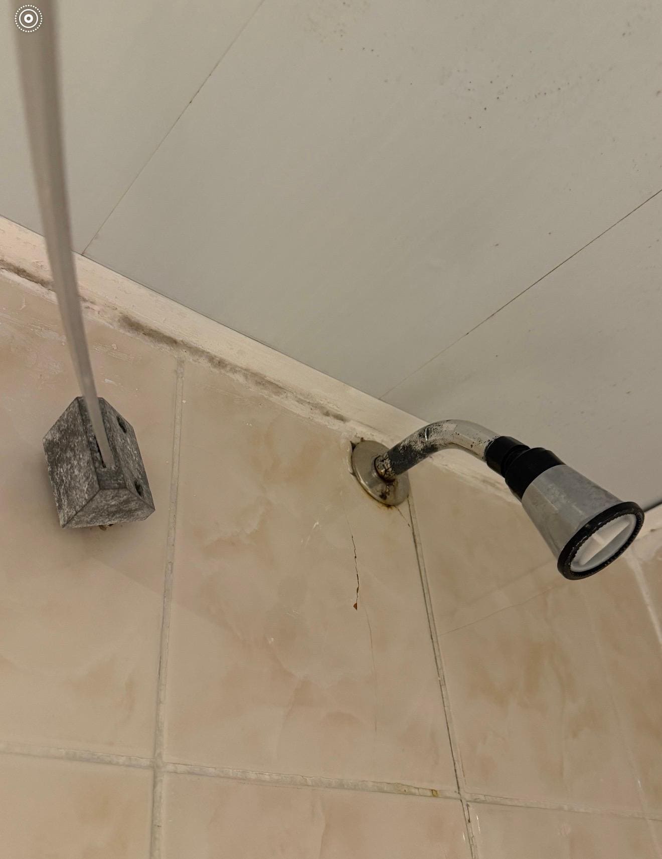 Shower curtain rod and shower head corroded and rusted!