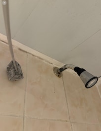 Shower curtain rod and shower head corroded and rusted!