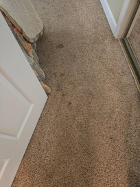 Dirty carpet