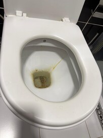 We found unflushed poop in the toilet. Don’t you think someone cleaning the room would have checked?
