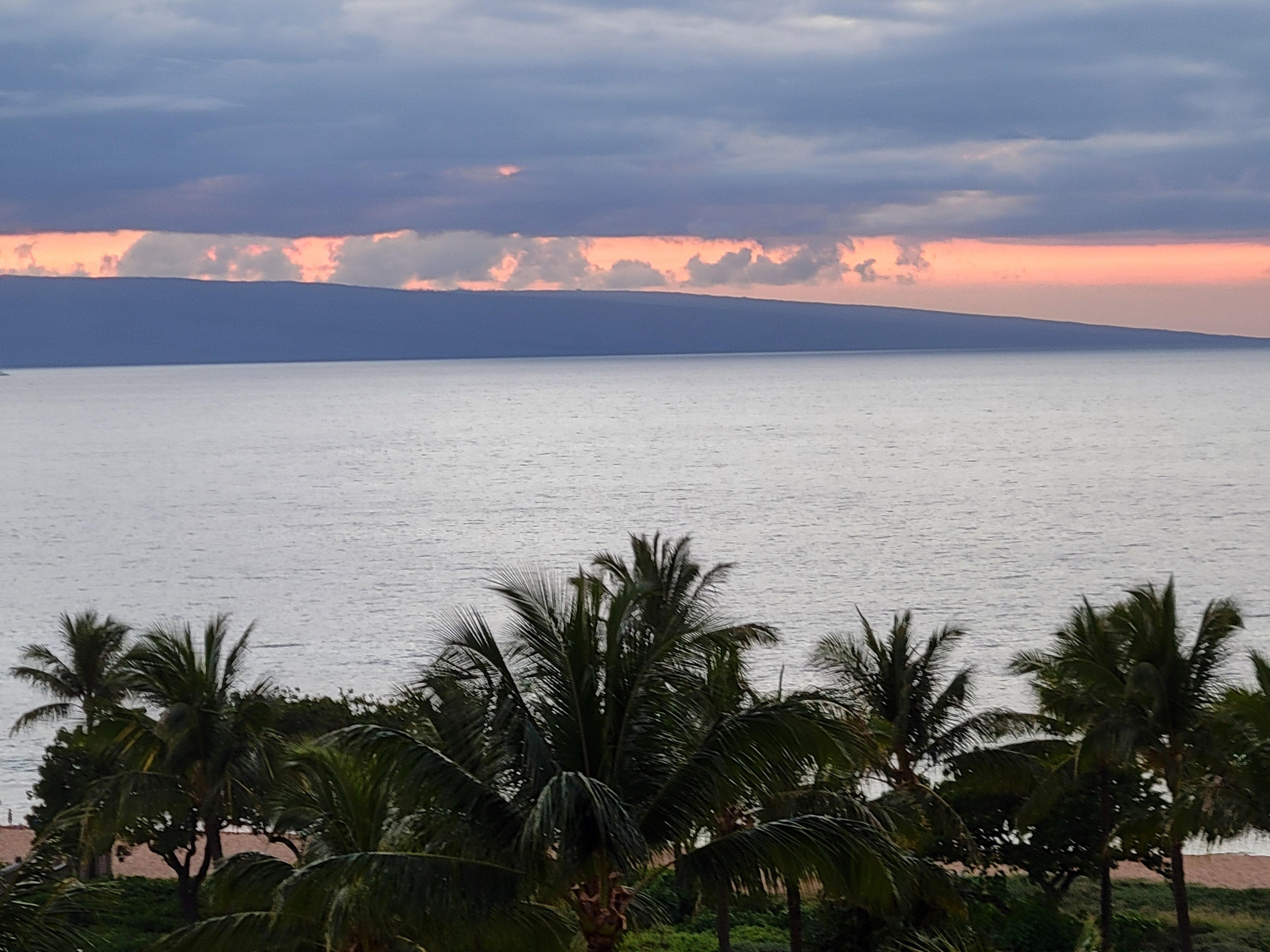 From our lanai we could see whales everyday 