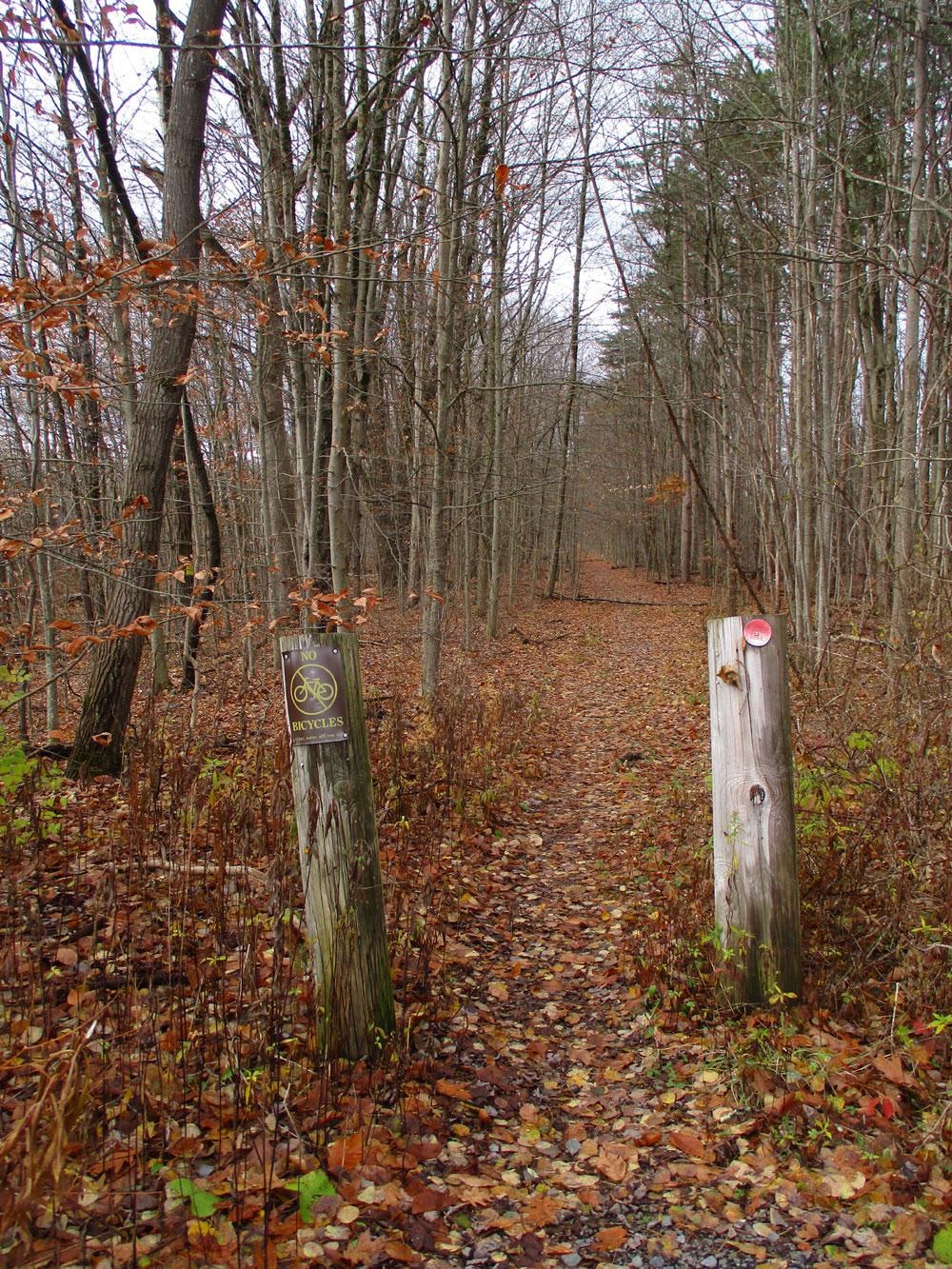 The entrance to this lovely trail is a minute's walk away.