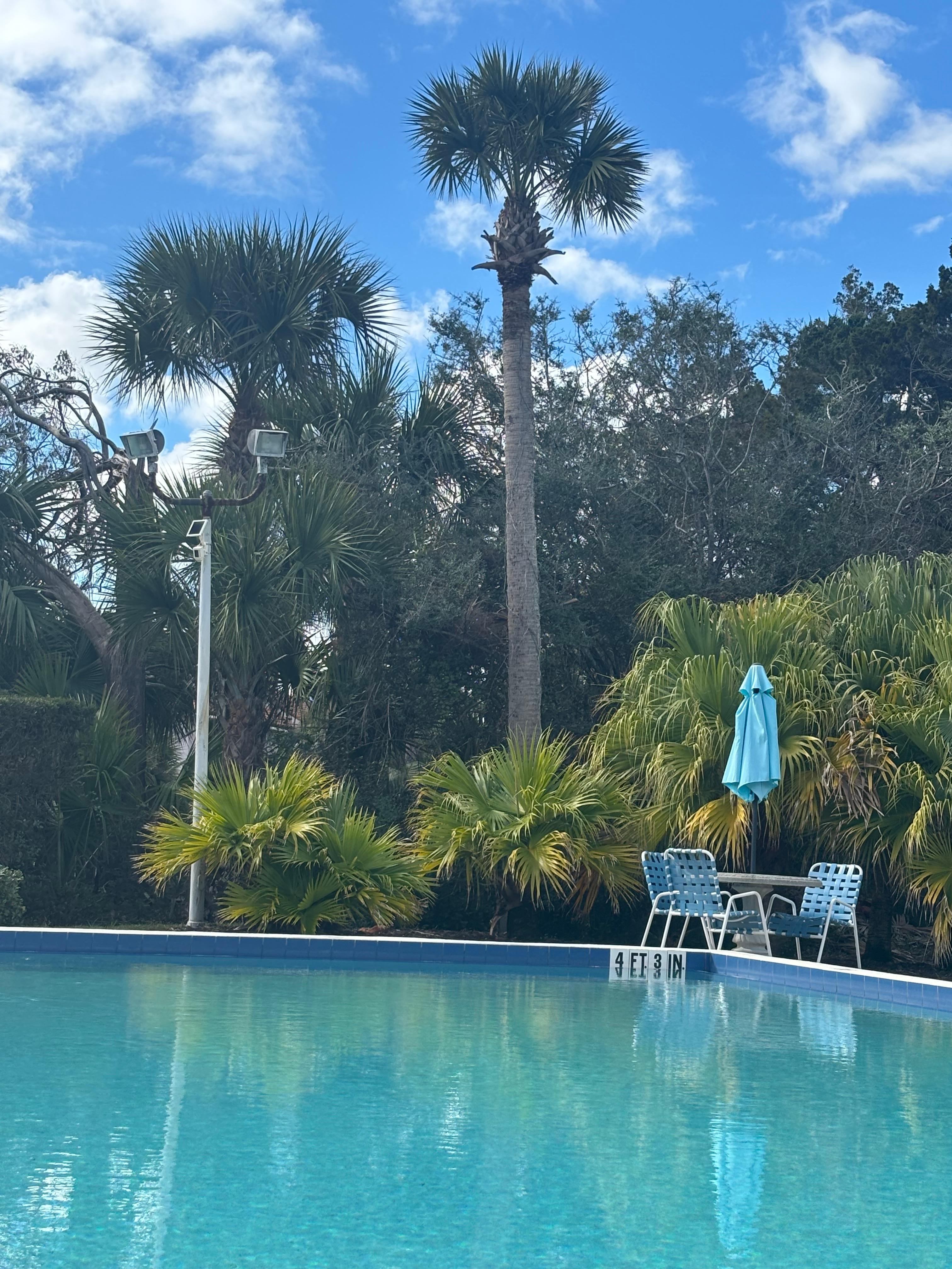 Pool - didn’t go swimming because of the cooler weather in January, but used the hot tub and lounged on the pool deck in the sun with a book.