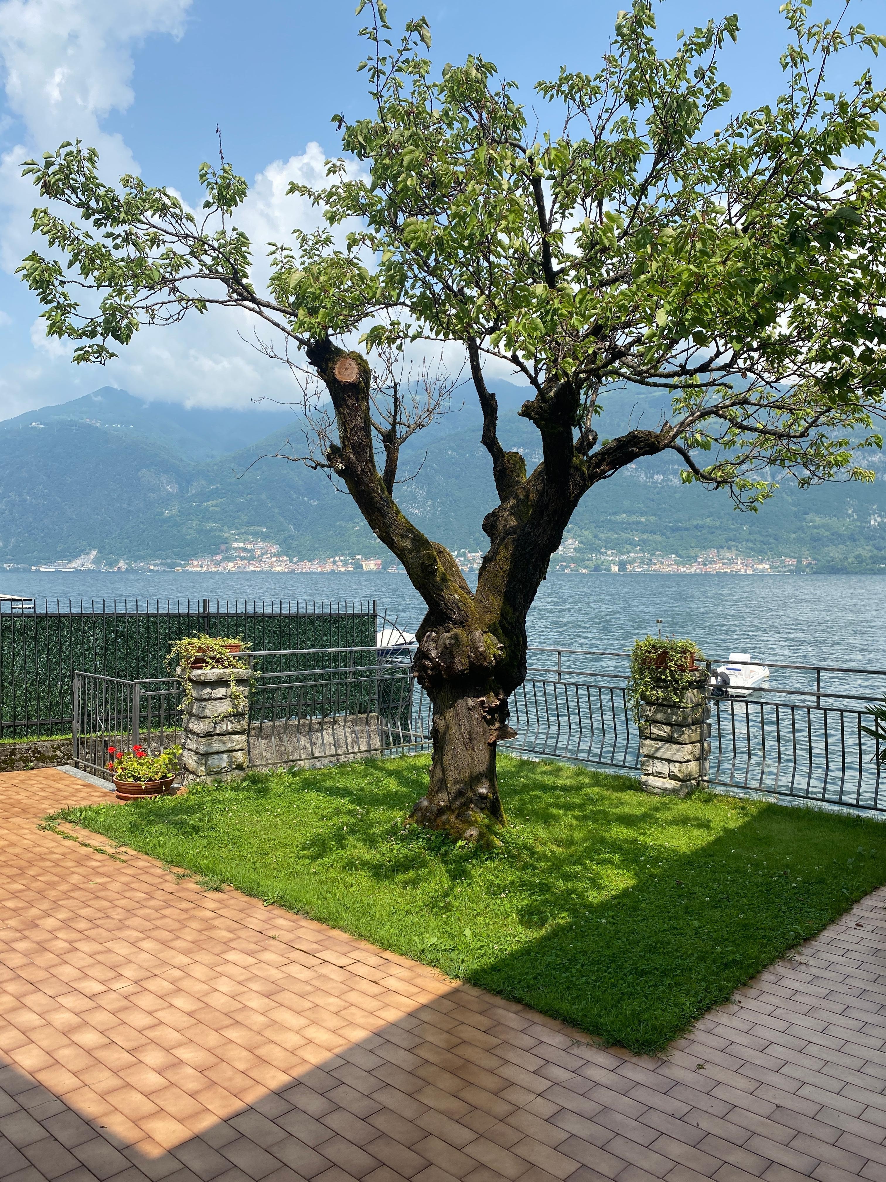 Lake Como from the garden