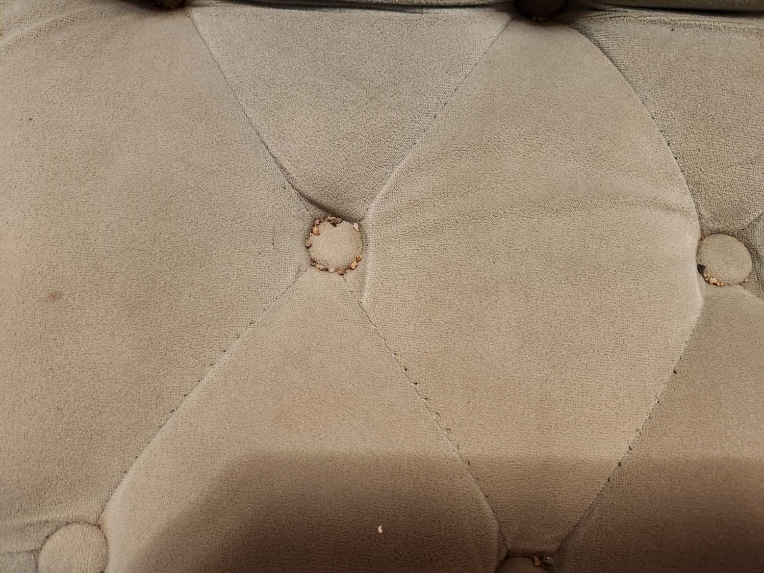 someone else's snack still in chair cushion