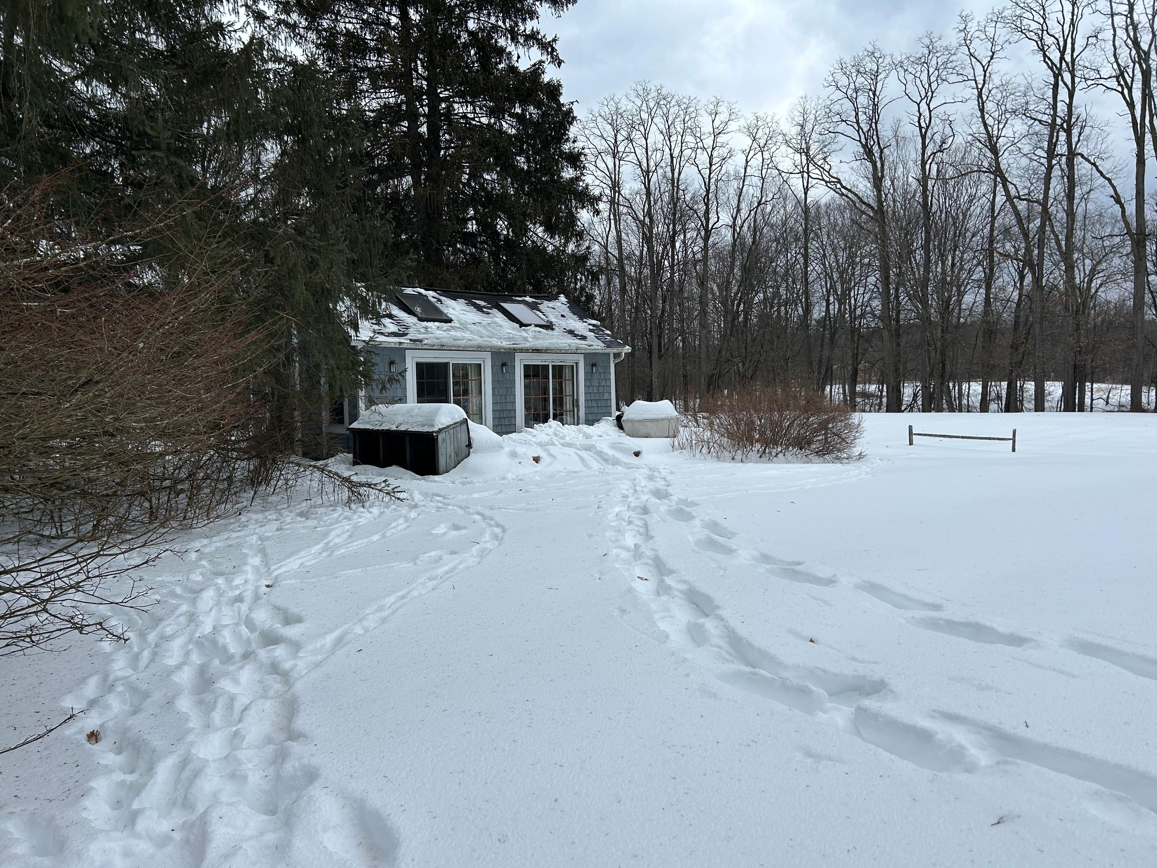 A view from the trail 