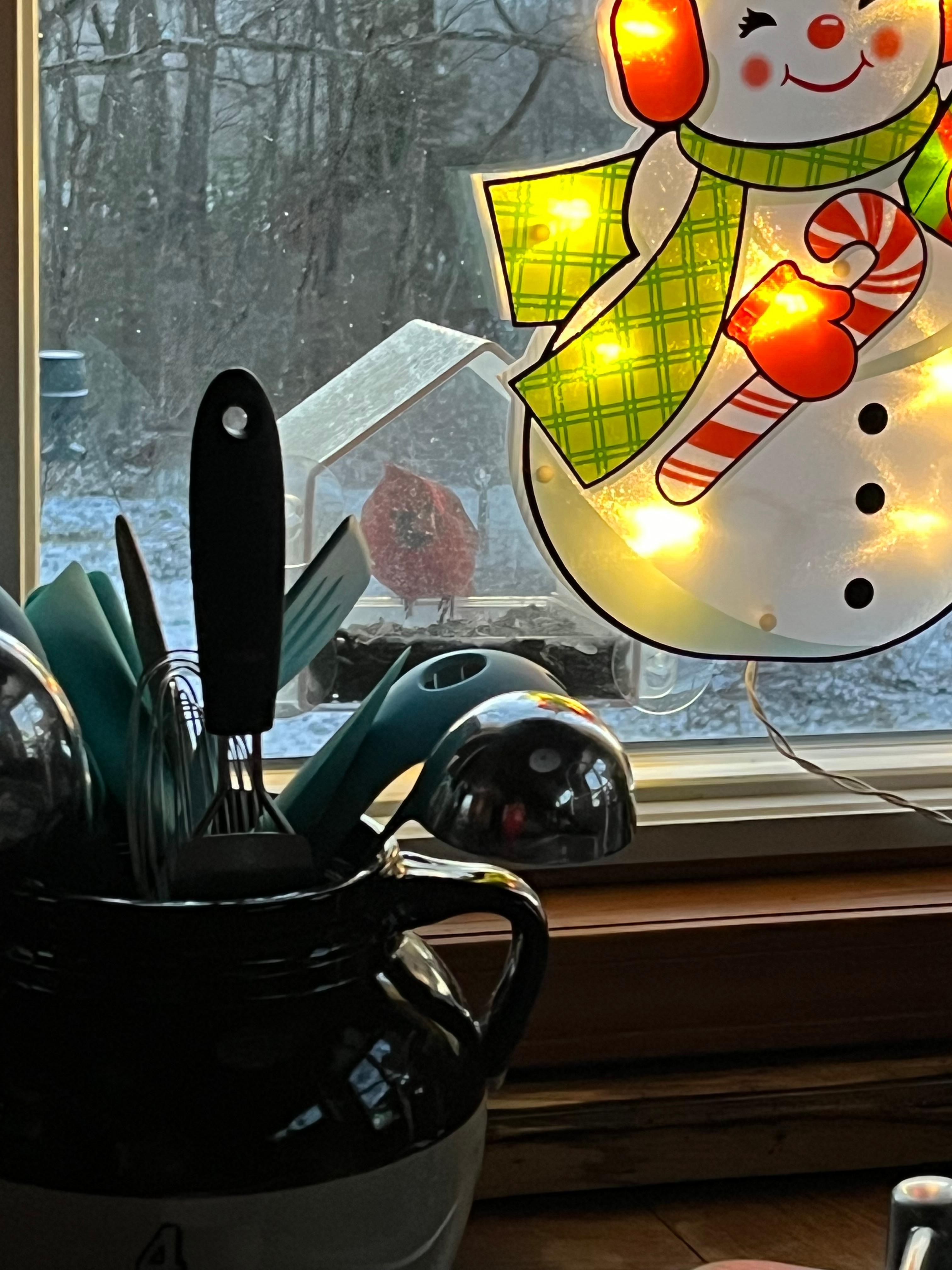 Got to see all sorts of birds up close!