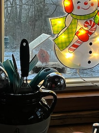 Got to see all sorts of birds up close!