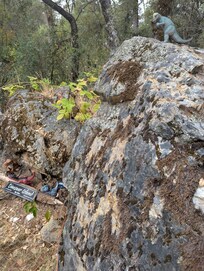 Dinosaur island - heck yeah