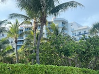 View from boardwalk