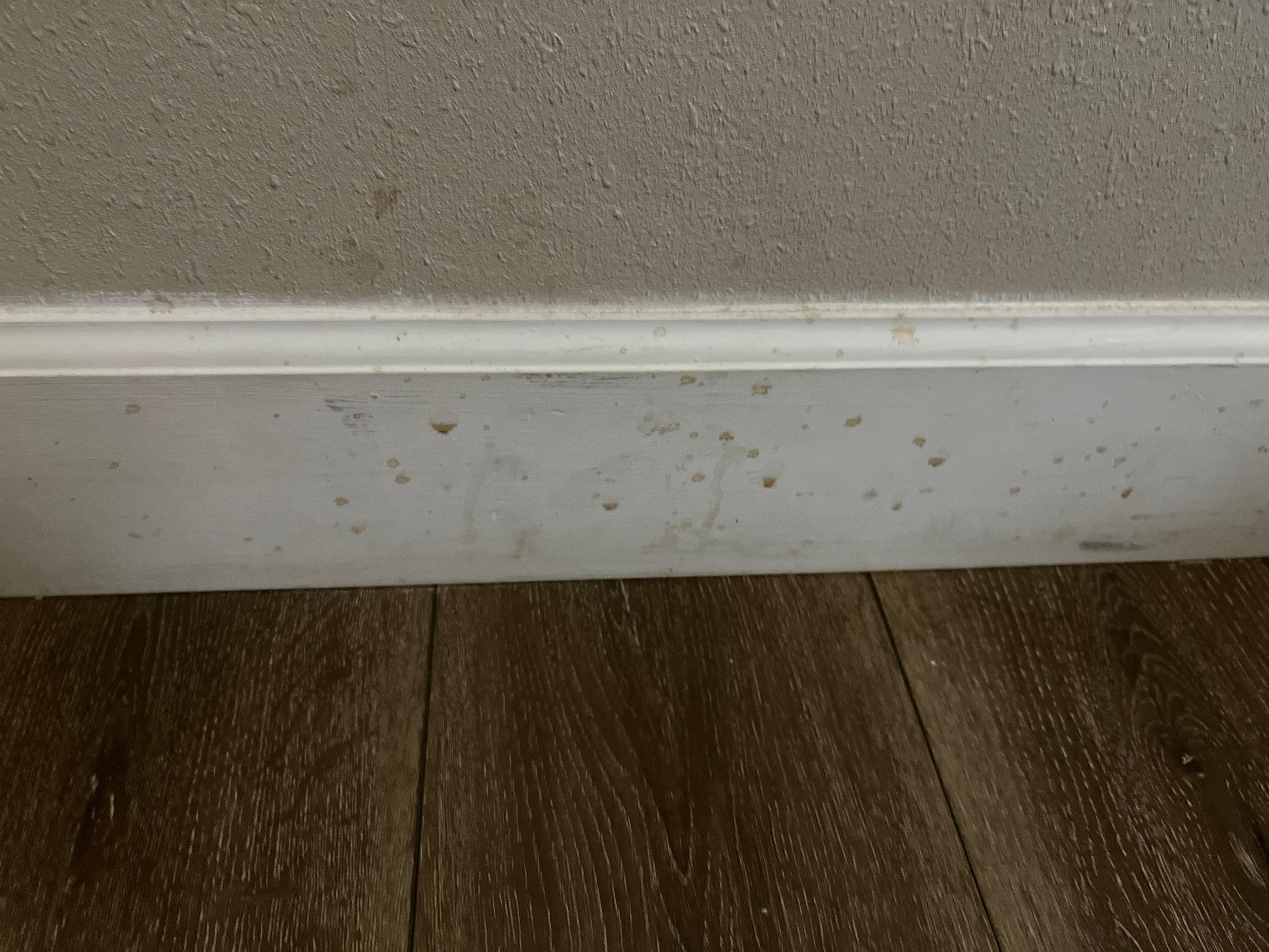 Coffee stains?