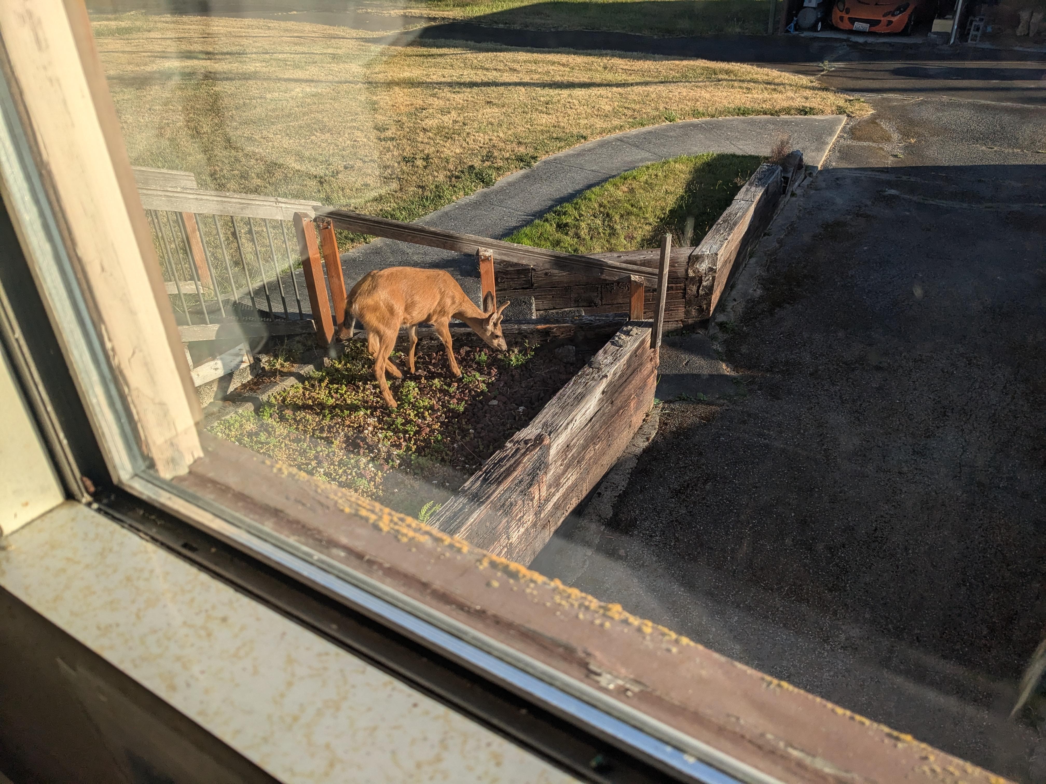 View from the kitchen window