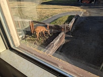 View from the kitchen window