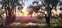 Marsh in the morning sun coming up.