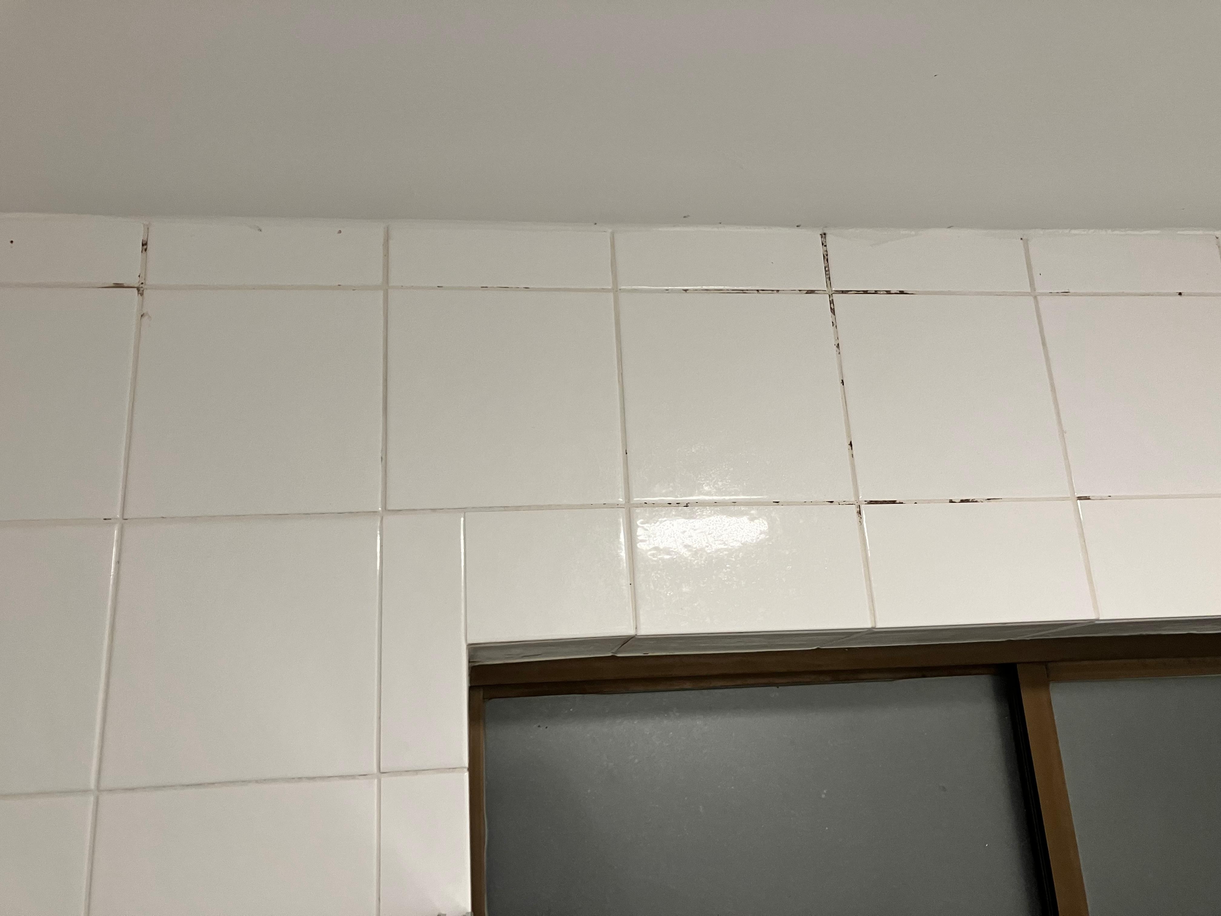 Mould in bathroom 