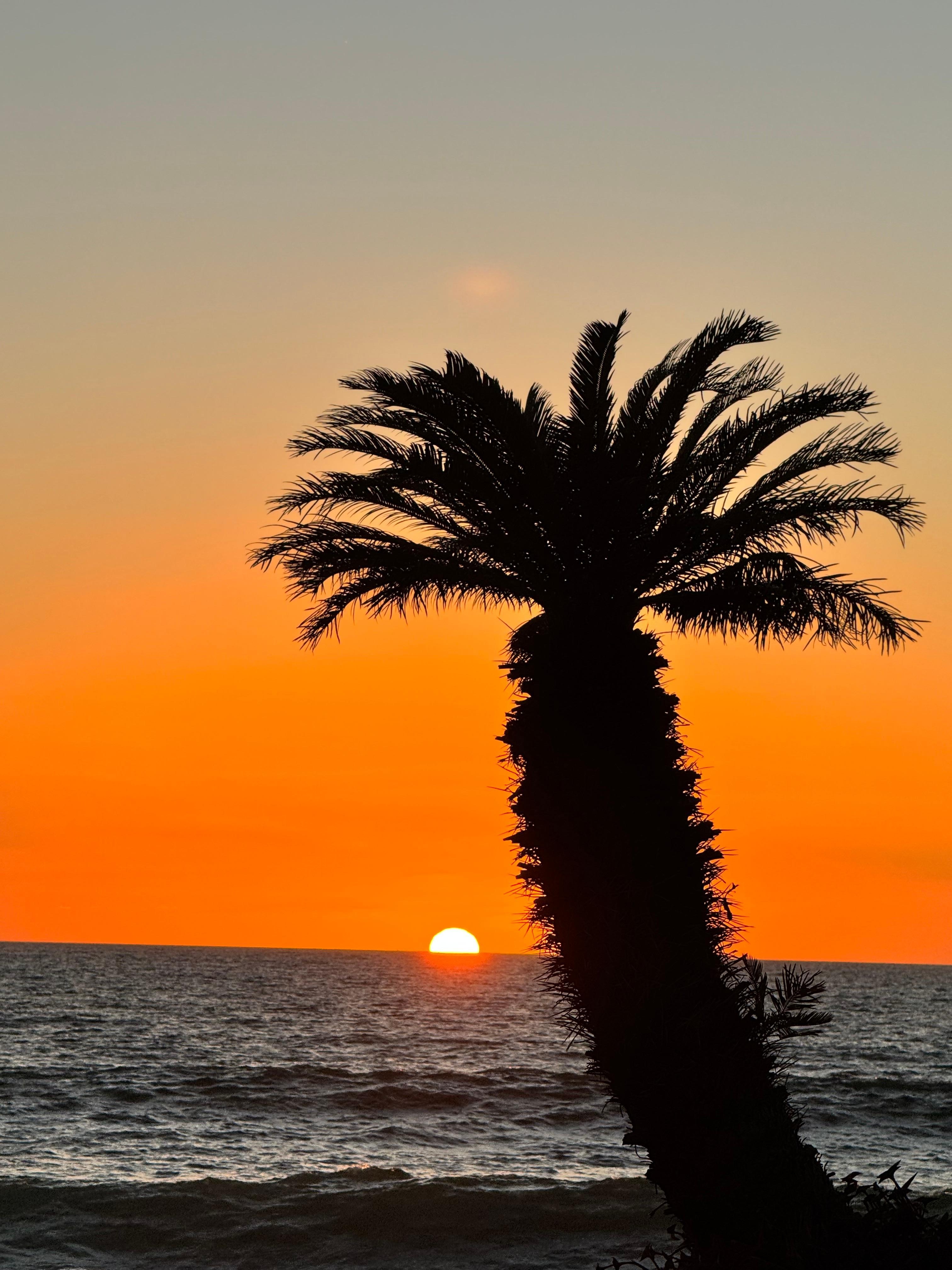 Taken from the beach at The ICON