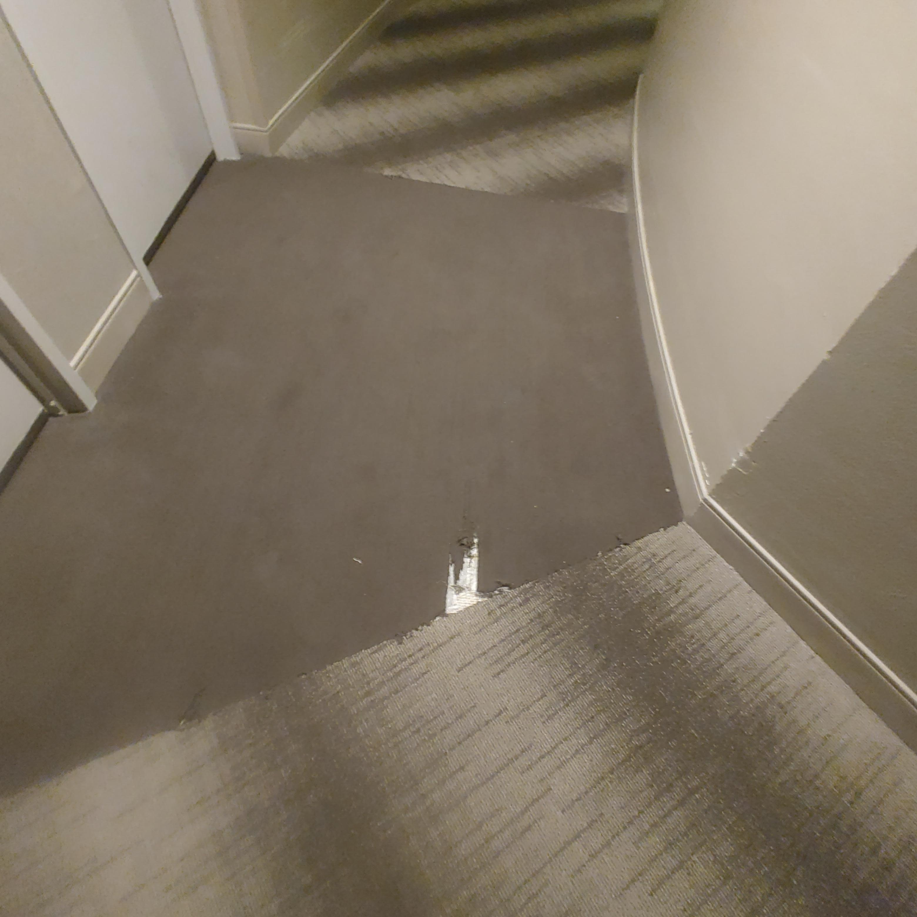 Old ripped up carpet out side the room.