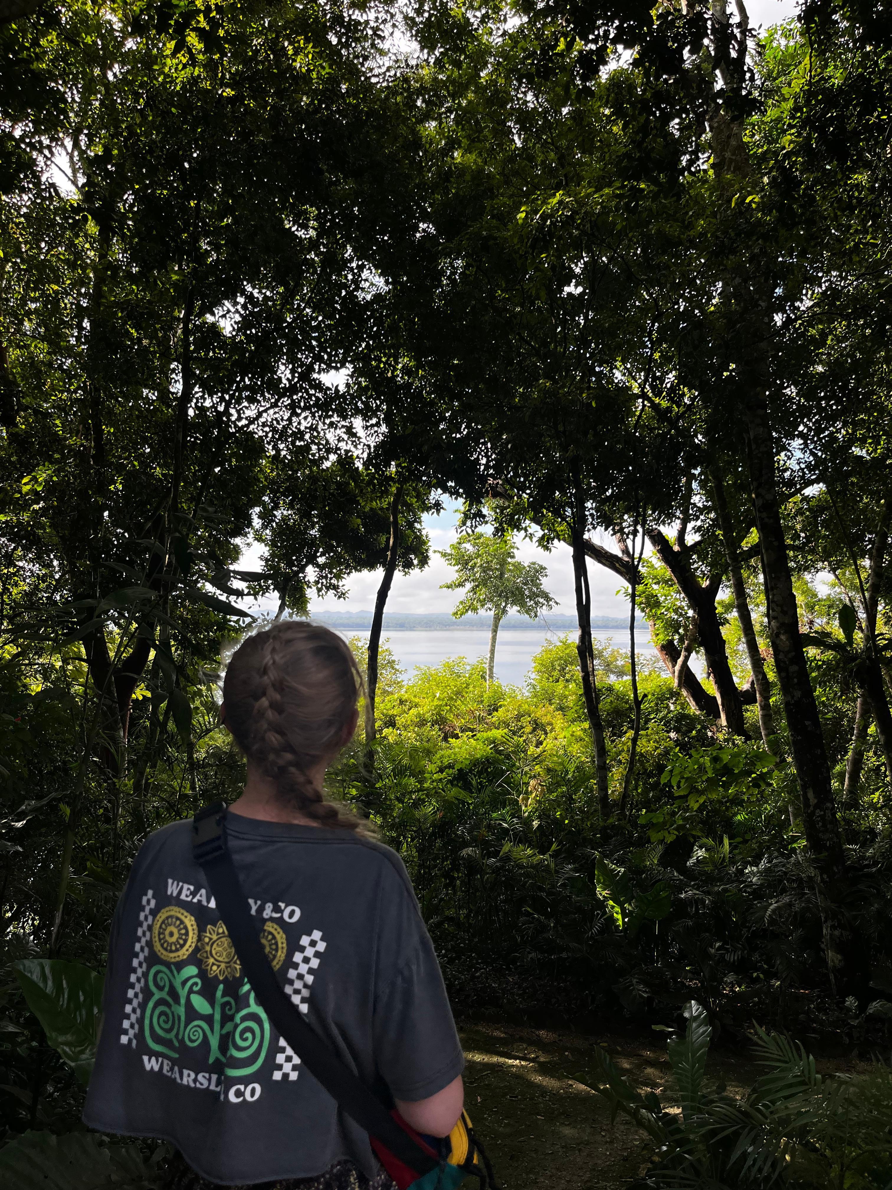 View over the lake from the restaurant