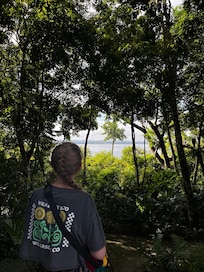 View over the lake from the restaurant