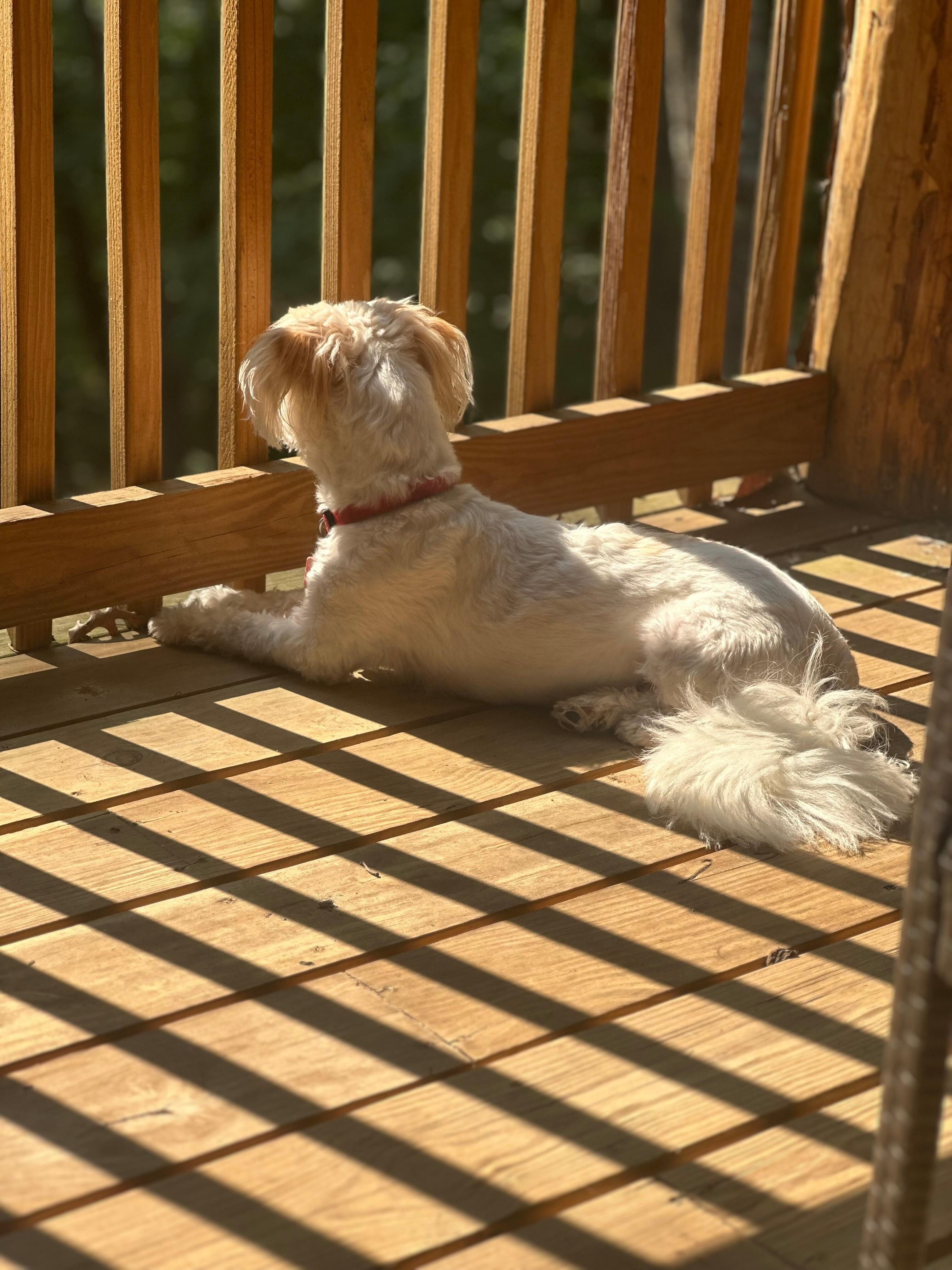 The deck upstairs 