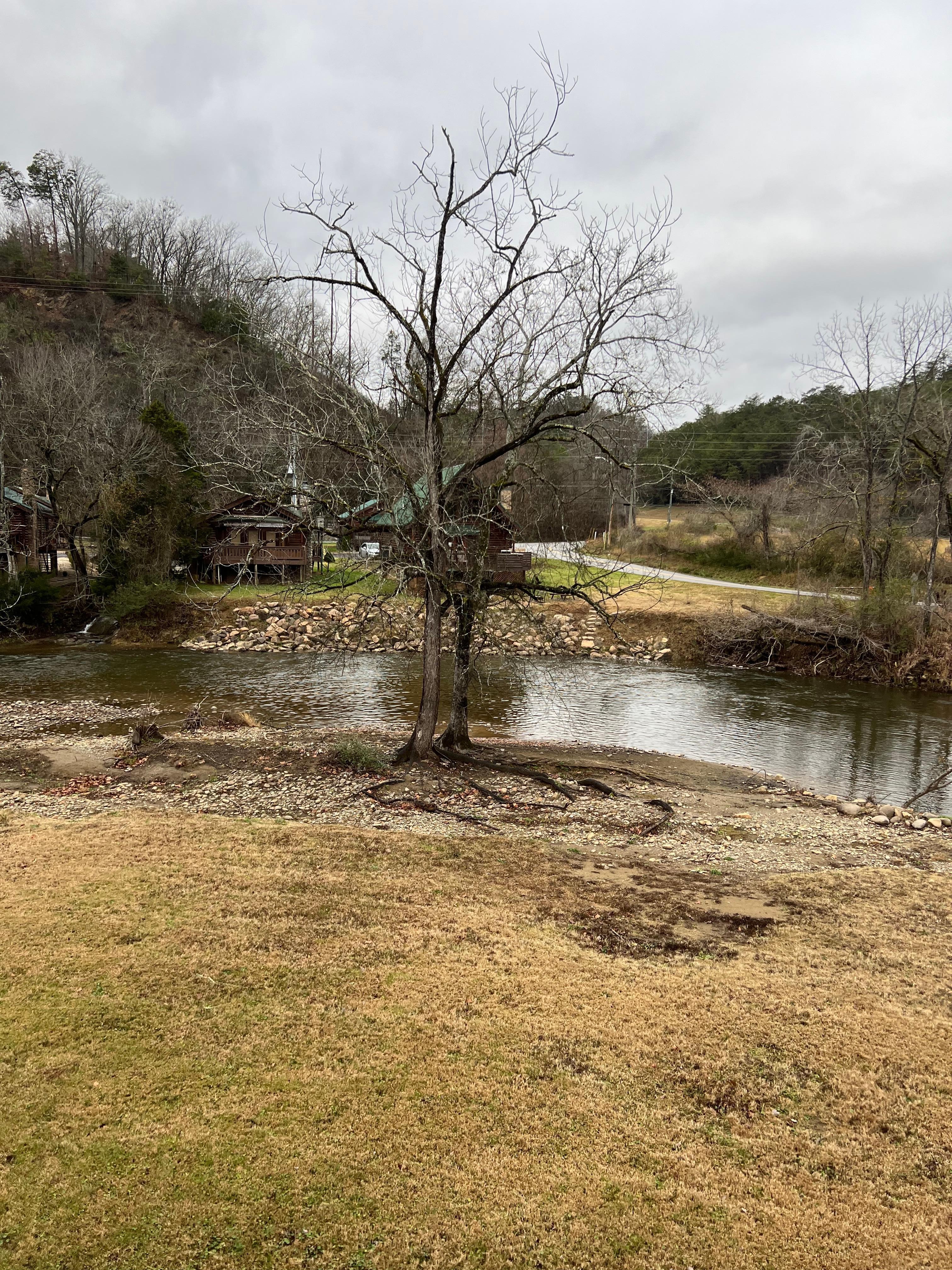View of the Little Pigeon River off the back porch.