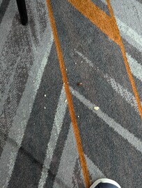 Food on the floor at check in