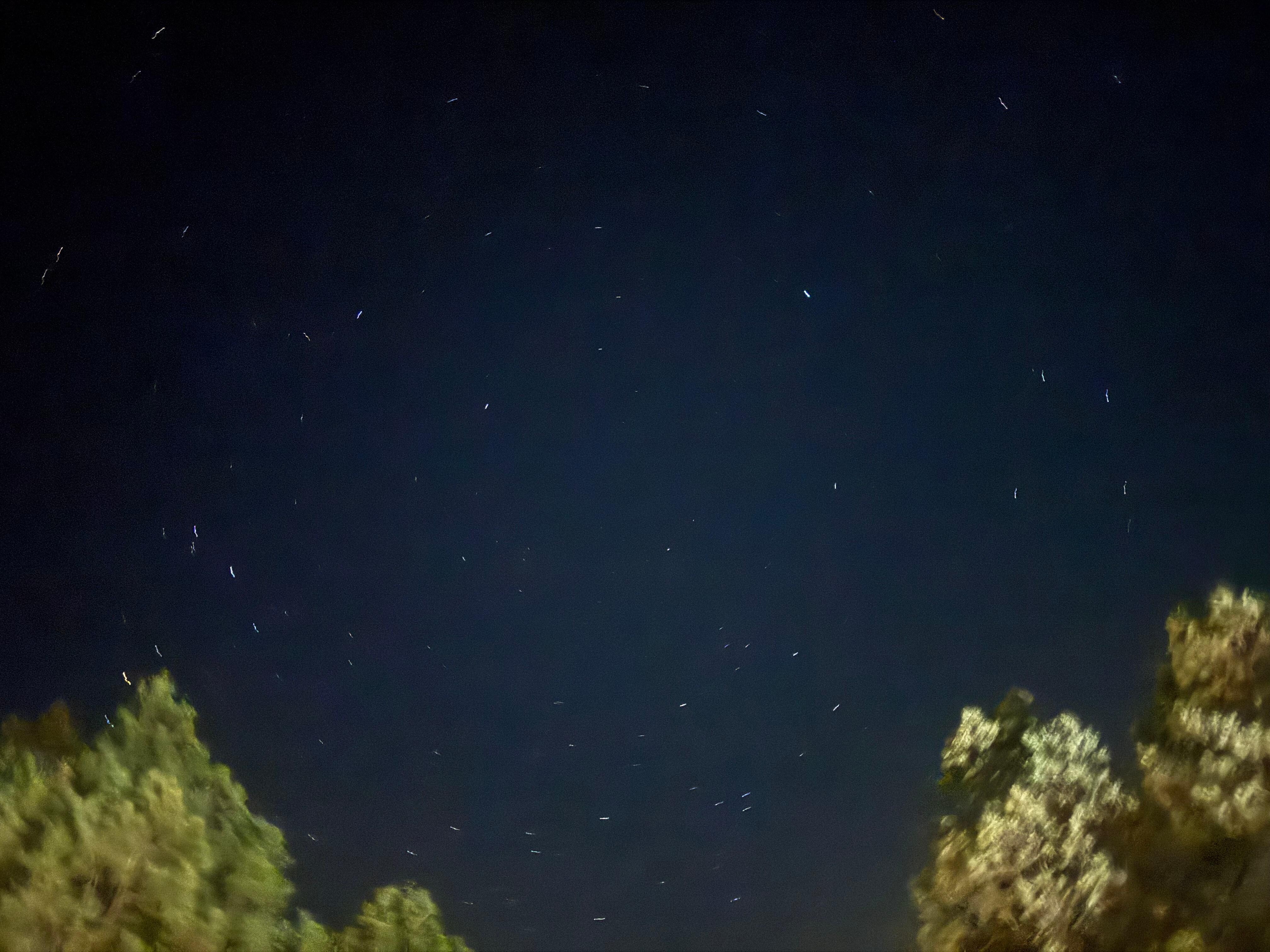Gorgeous night sky
