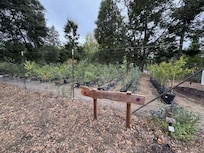 Nearby Luther Burbank Experiment Farm