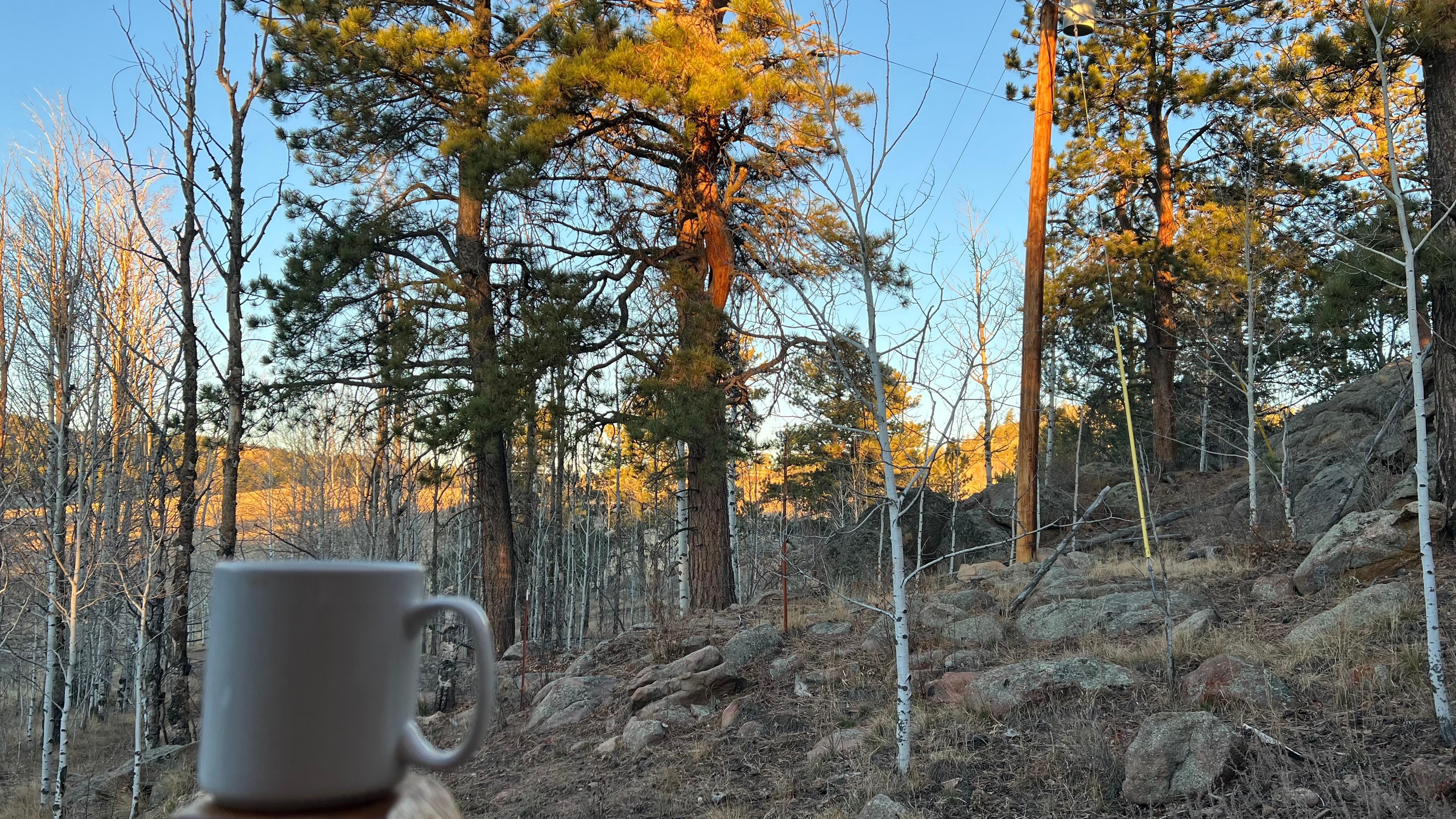 Coffee with a view 