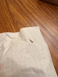 Roaches that I killed