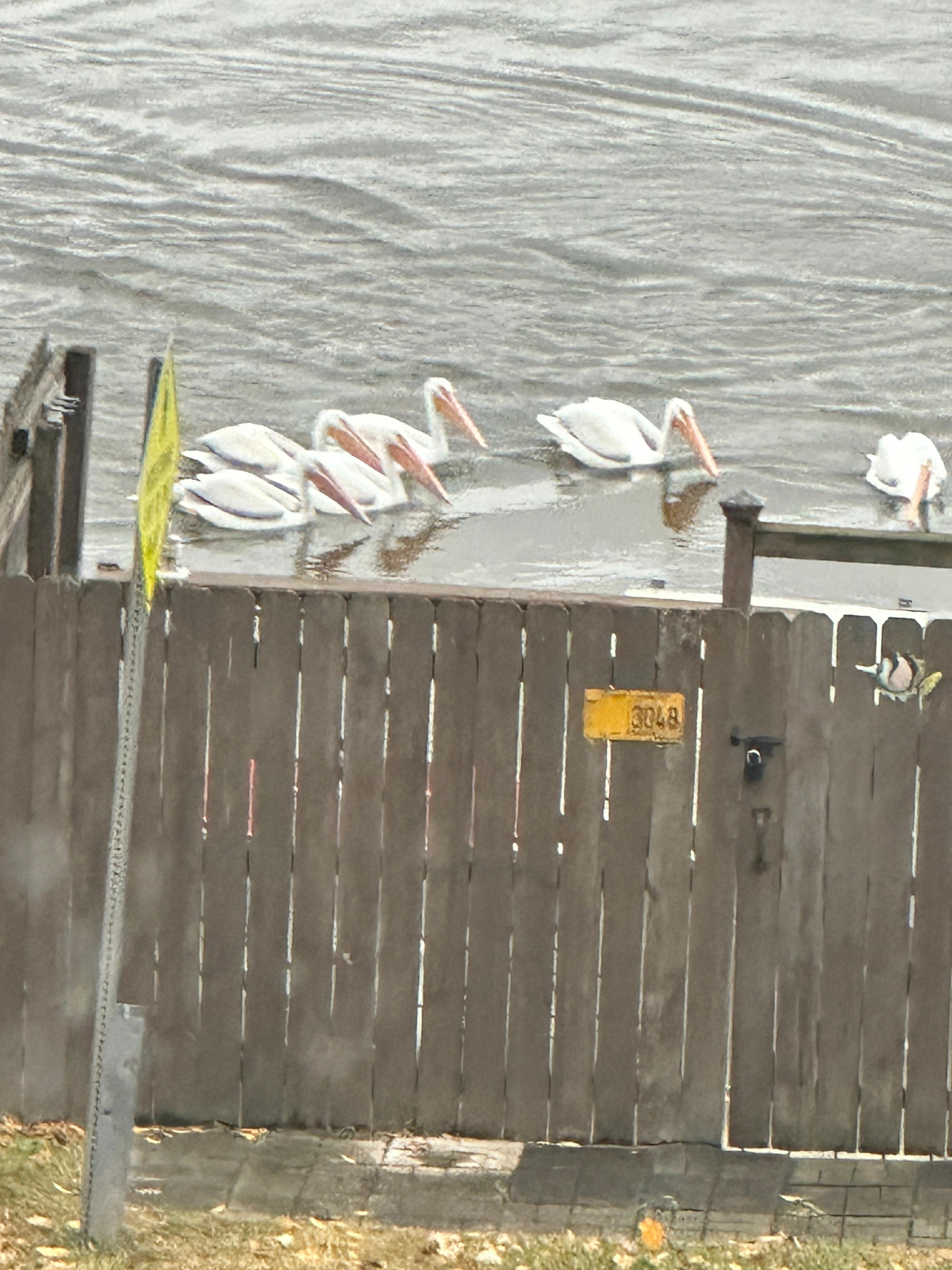 Pic taken from the enclosed porch