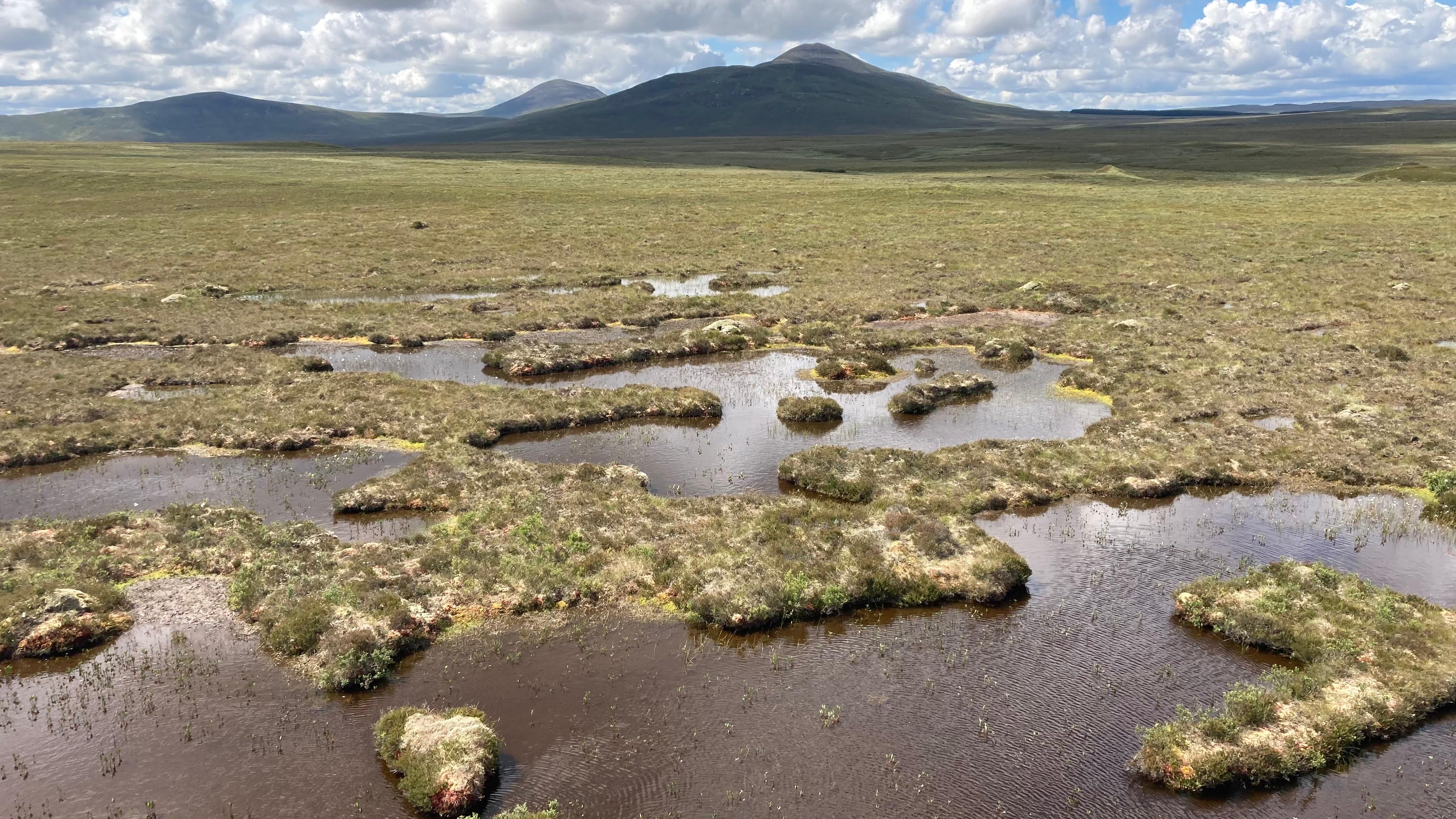 The Forsinard Flows Nature Reserve peat wetlands, UNESCO World Heritage Site since July 2024. 