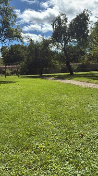 The beautiful garden