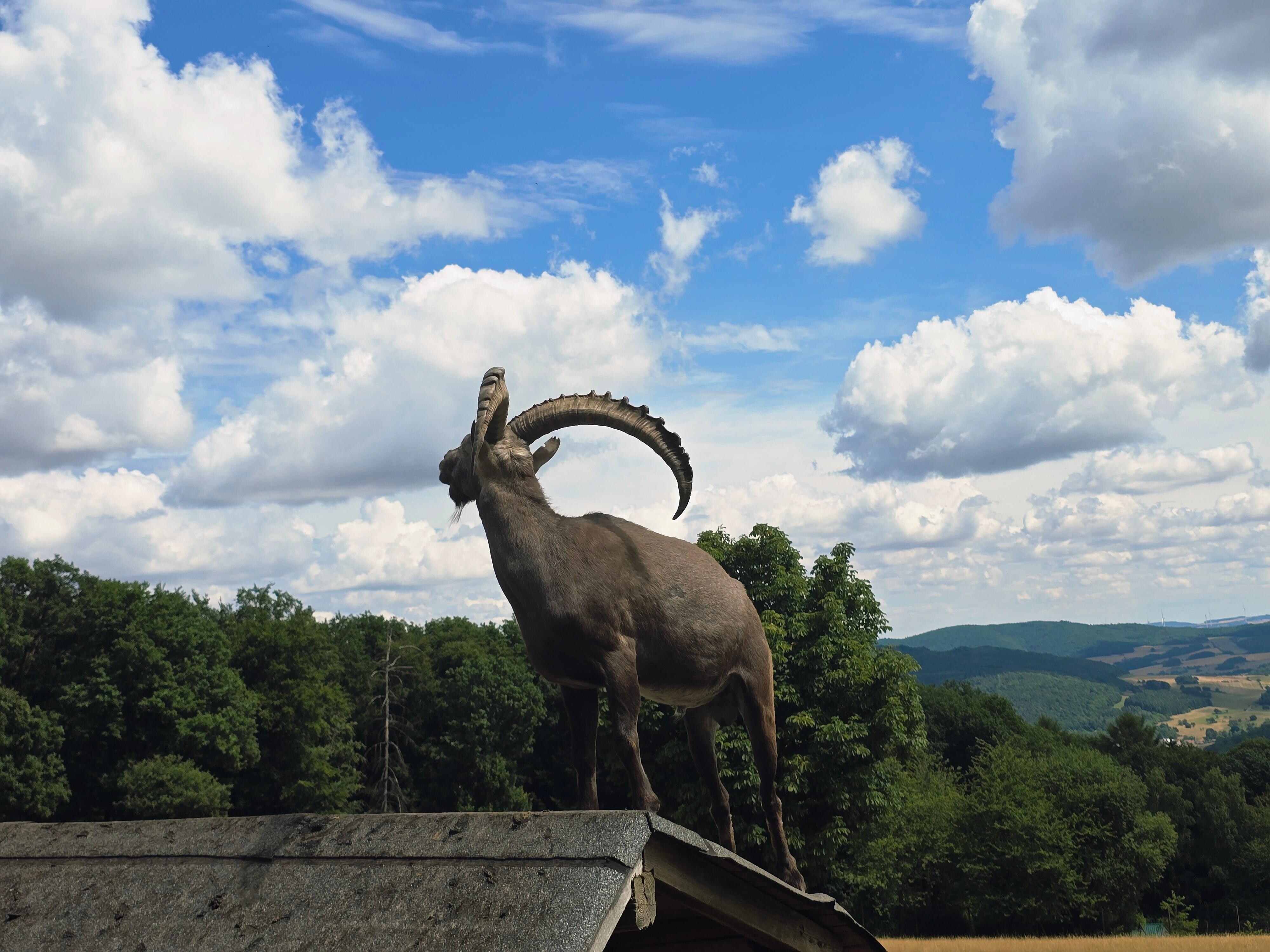Wildtierpark
