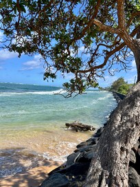 The cutest little beach directly in front of the house.