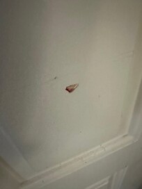What appears to be blood on the entry door.