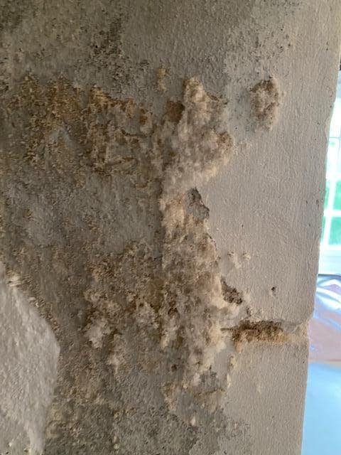 Mold in Bedroom