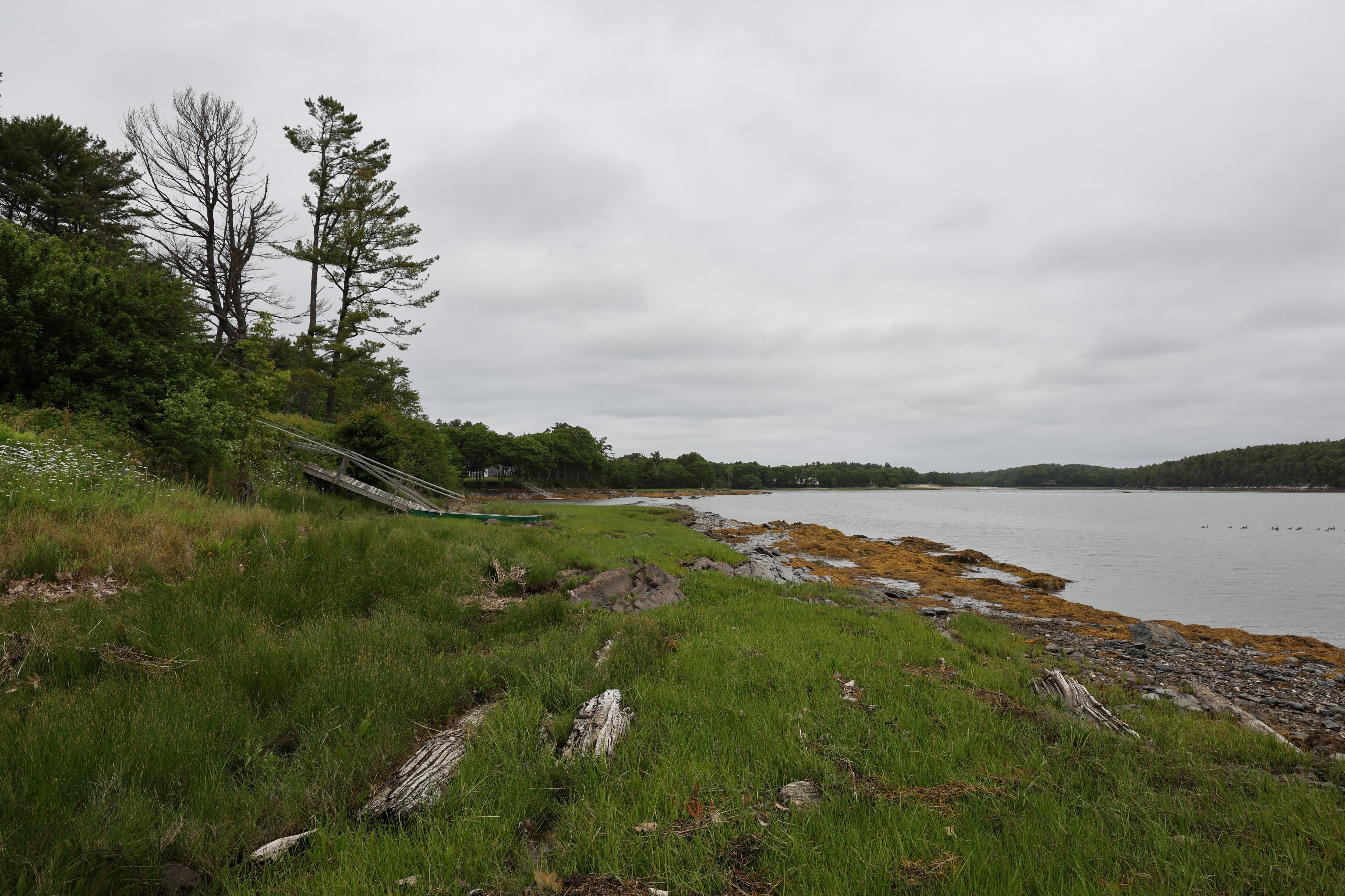 View from bank low tide