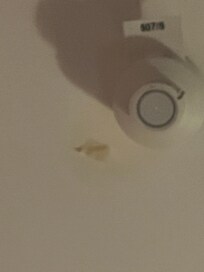 Über dem Bett, keine Ahnung warum das da hing , wollte es aber auch nicht anfassen.