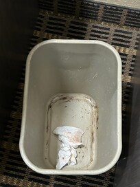 Previous guests trash
