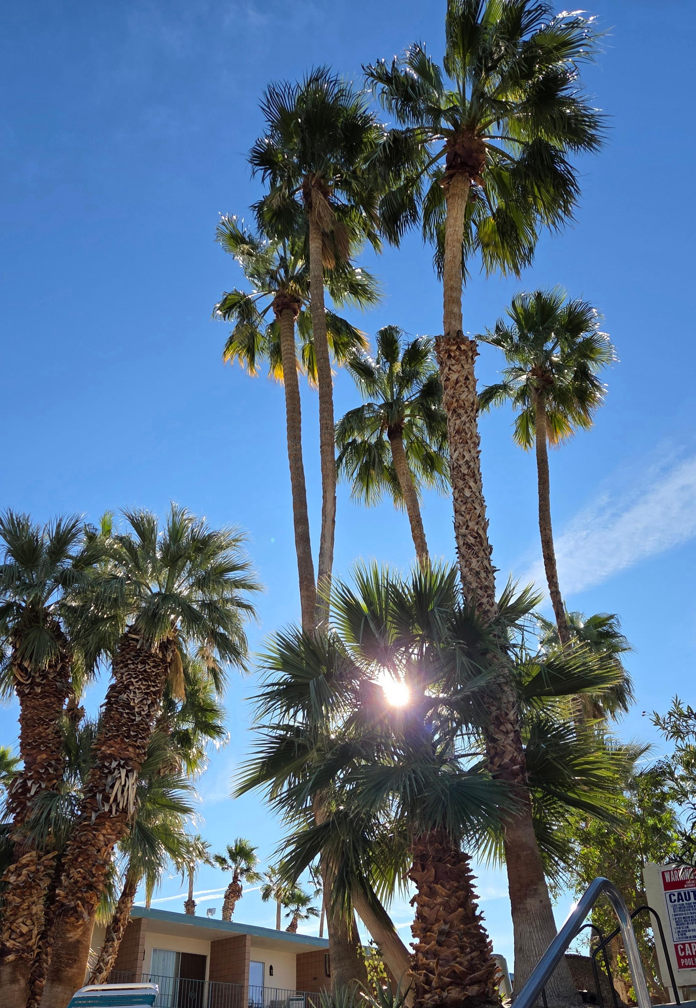 The skyline is beautiful in the day.