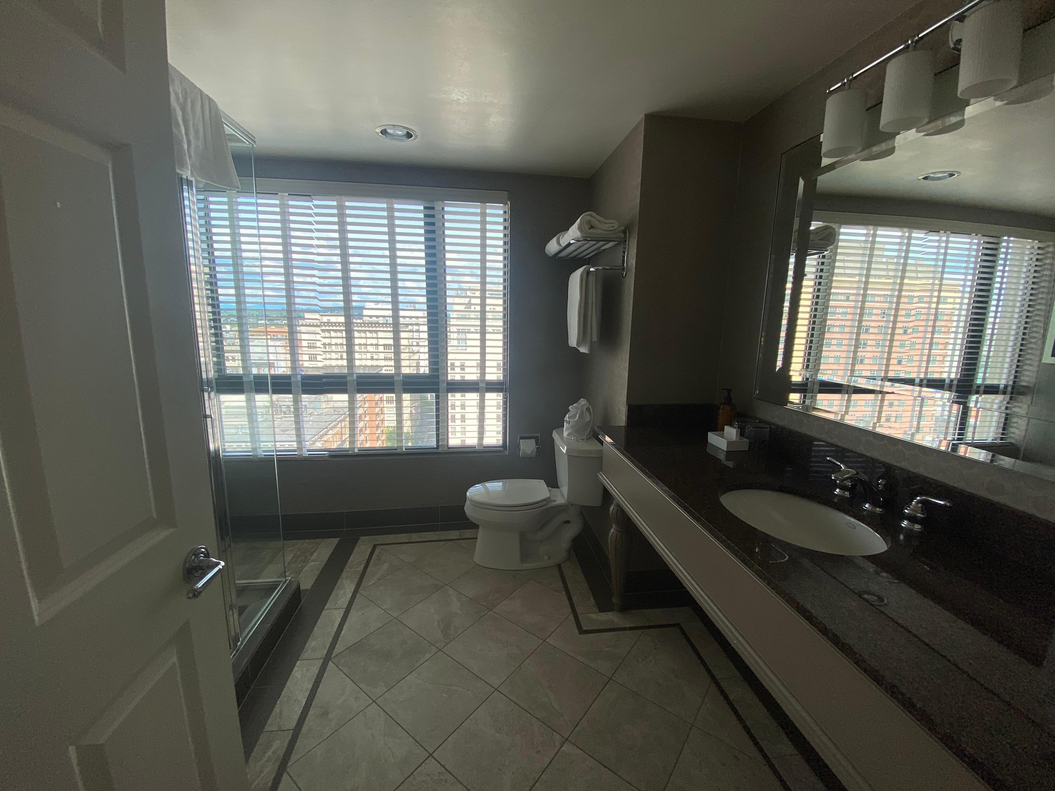 Love the view from the shower