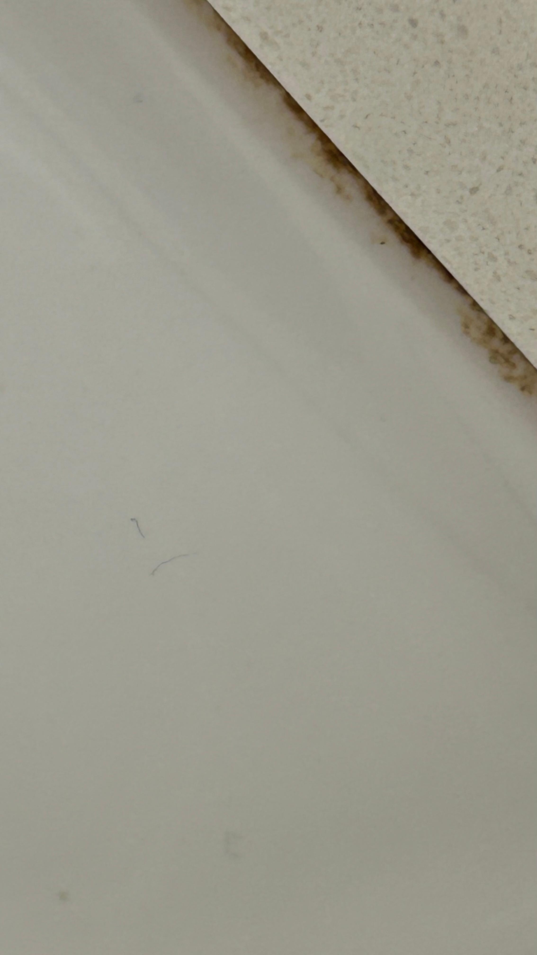 Mold